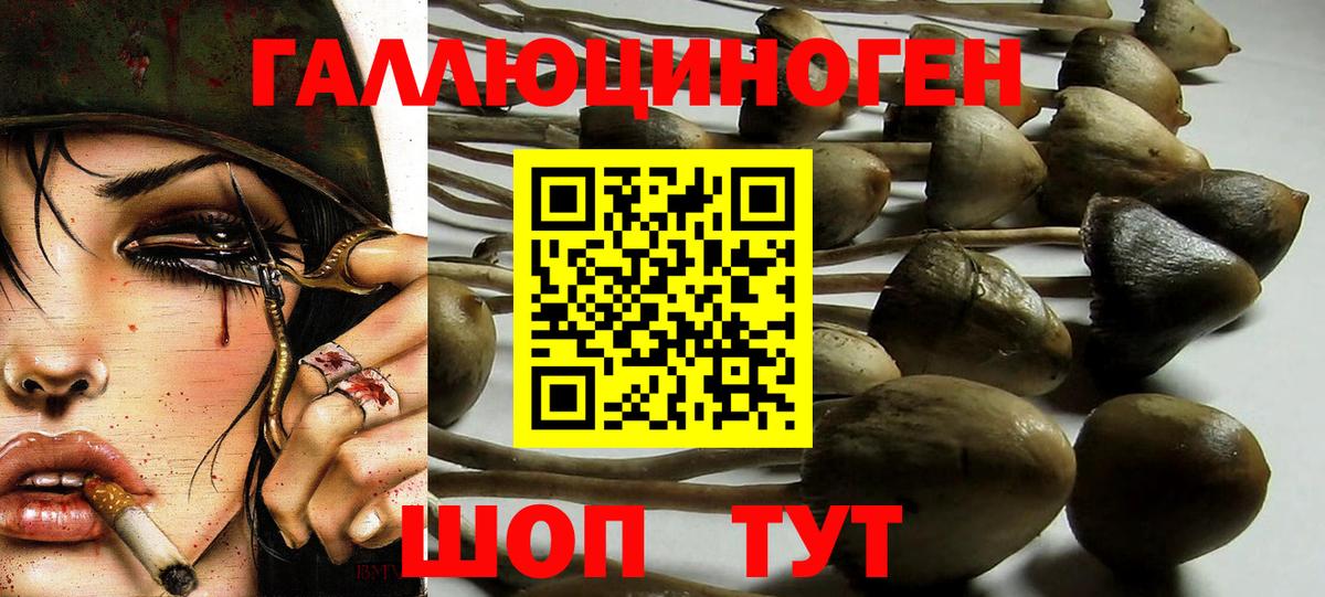 Галлюциногенные грибы прущие грибы Королёв
